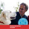 Сергей Клочко - Зоопсихолог,   Animal Behaviorist,   Dog Trainer